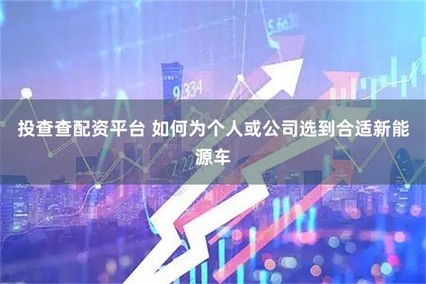 投查查配资平台 如何为个人或公司选到合适新能源车